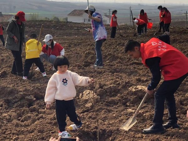 新澳门游戏共青团宜城市委：种植林果树 培育产业“花”(图2)