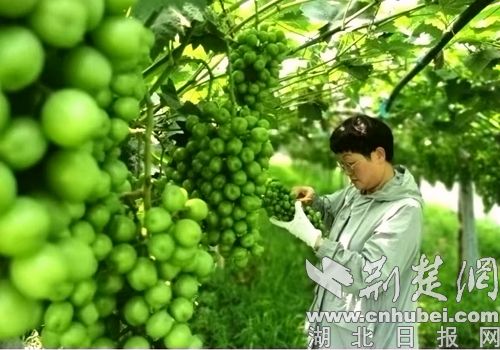 规则使才华授权返回家园并探索新的生活模式