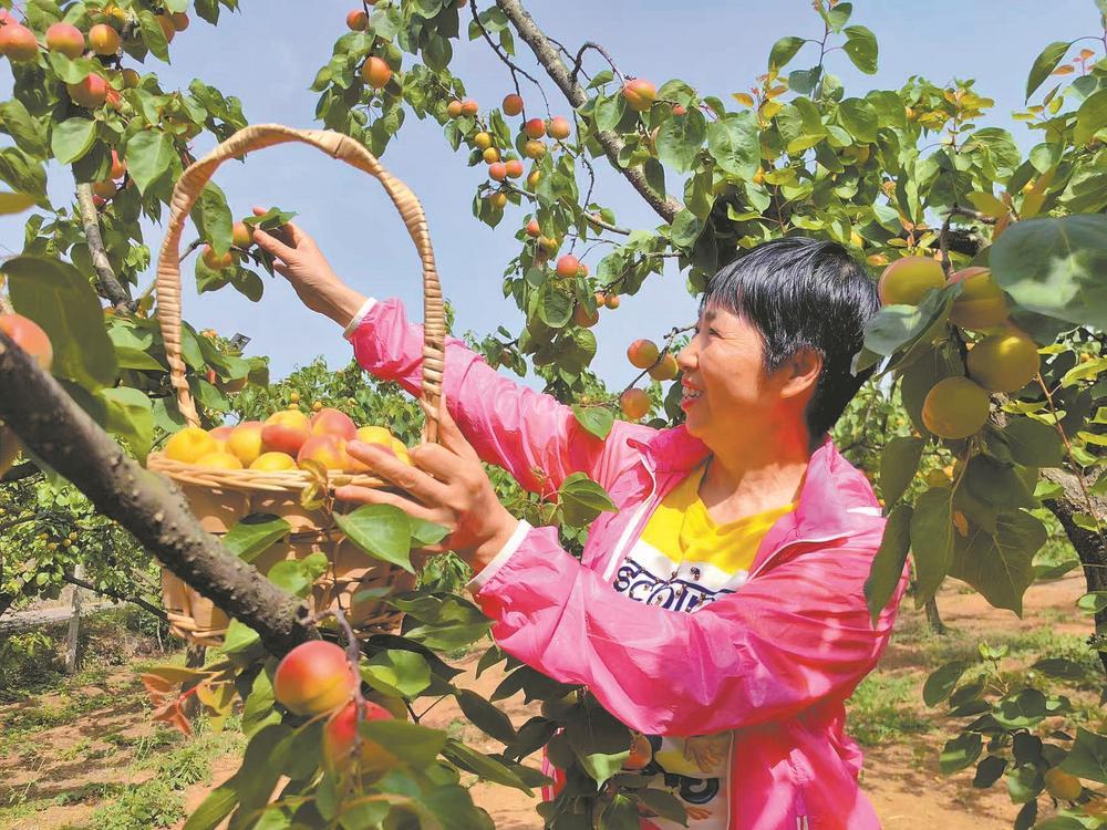 体验选择的乐趣