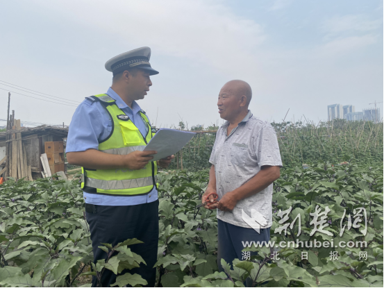 田野是安全的，并且收获标签的繁忙和繁忙的耕