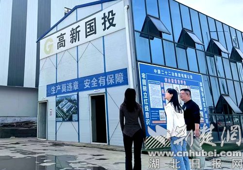 加强对冷链物流项目的审计，以订阅农业品牌的