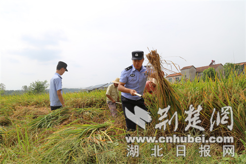 Xiangyang公共安全：三个夏天的“微型警察”场绘