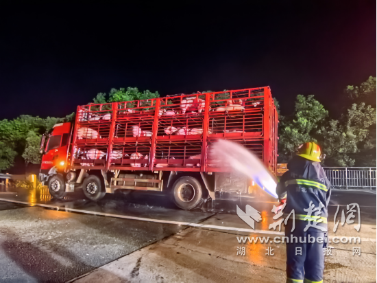 猪肉运输卡车爆炸了车轮，Yicheng消防局撒了水，