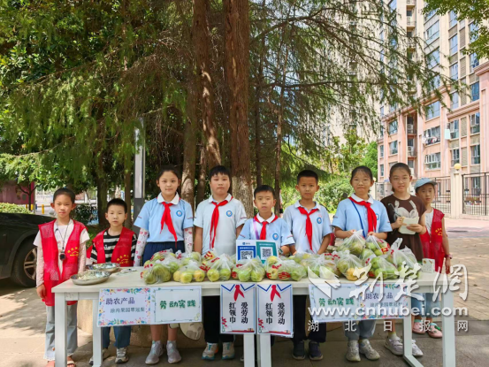 小型志愿者成为“农民的赞助者”，并在劳动培
