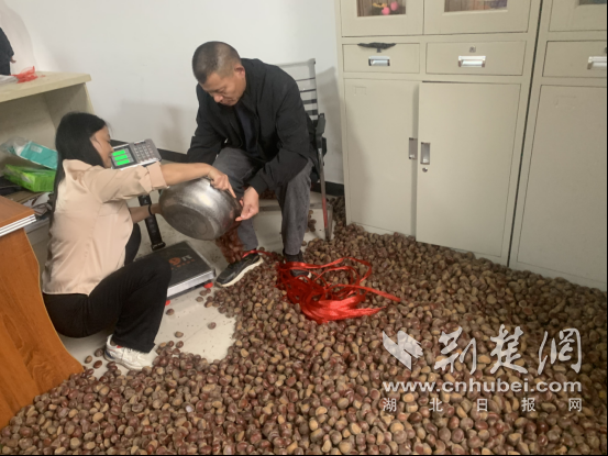 中国银行的武士分支机构小组：照​​顾乡村来减轻人们的关注并帮助农民增加