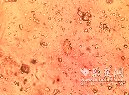 连续多天锁定了“洗凳子”，并赞扬了实验室的专业精神