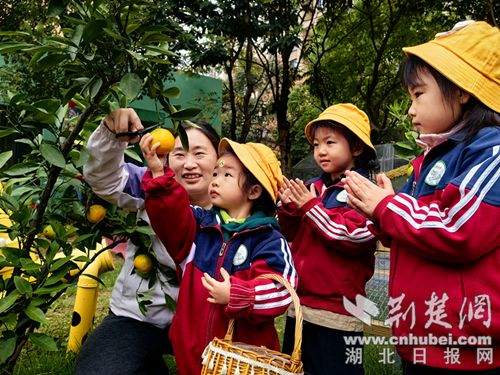 亲近自然，了解秋天的收获，在橙园里享受成长