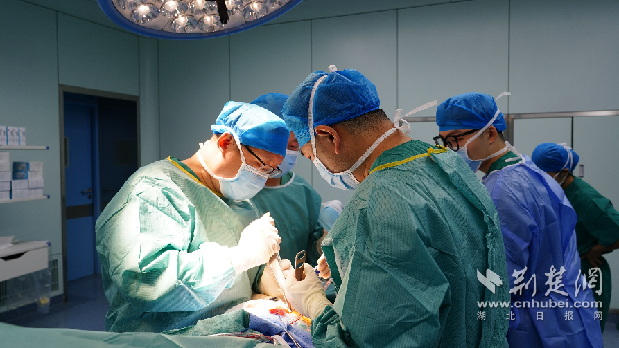 柳叶刀与棒管齐放，引领骨科诊疗“智慧”变革