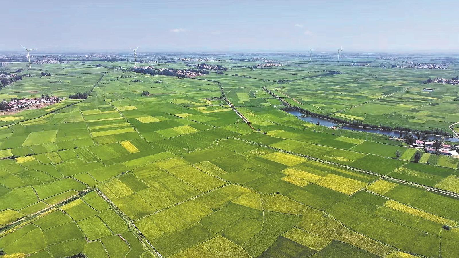 景美，产业兴村富，和美