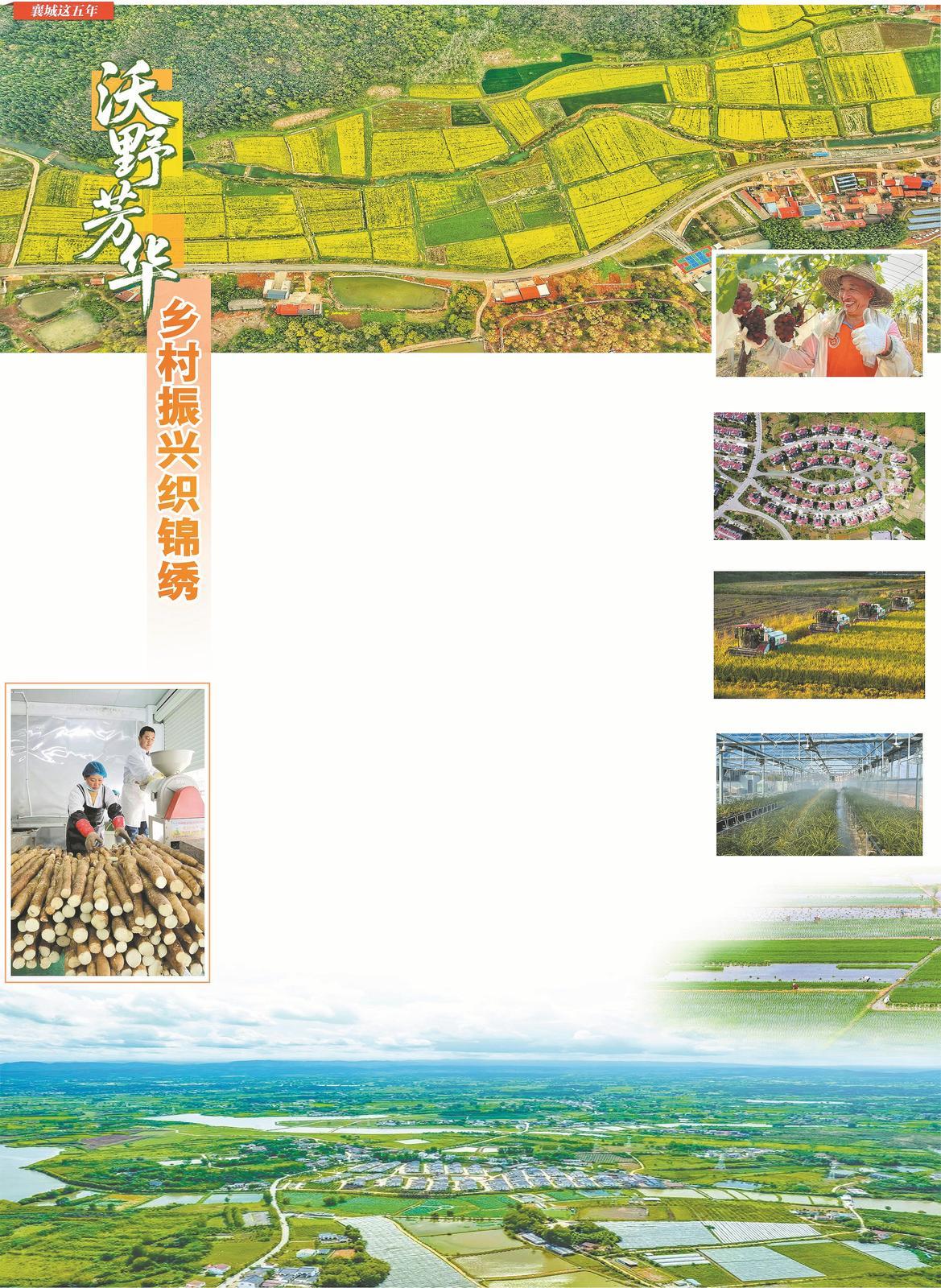 沃土、青年、乡村振兴