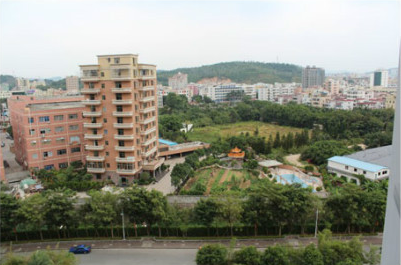 ��������һ���������з�80������20�� ��ӵ20���ʲ�