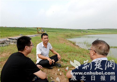 150亩闲地变辣椒高产地 老河口油房湾村踏上小康路