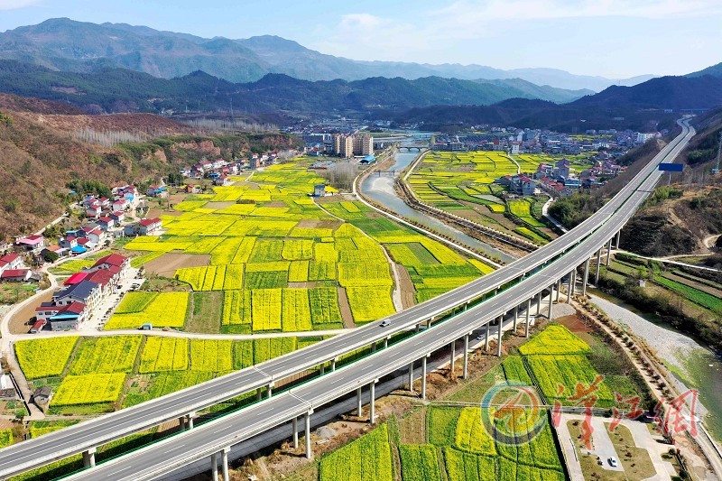 特约通讯员 杨韬 通讯员 吴剑霞