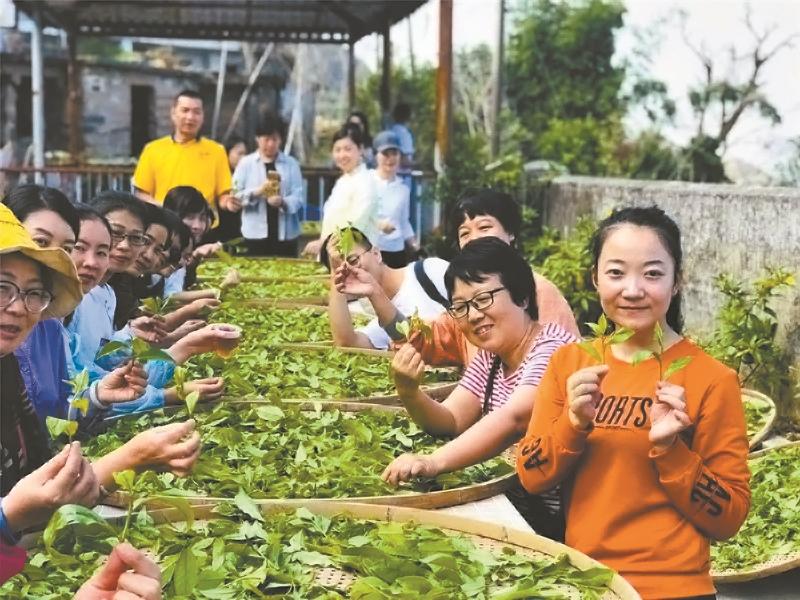 酒巷茶铺ff朋友图片